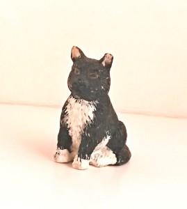2015243 černobílá kočka